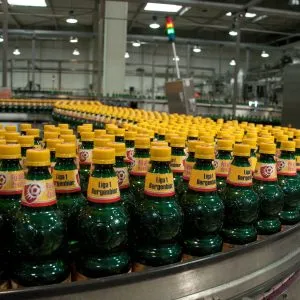 Ventajas de utilizar una taponadora de botellas manual en la producción artesanal